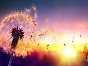 双11不再只是记分牌，消费新趋势解析