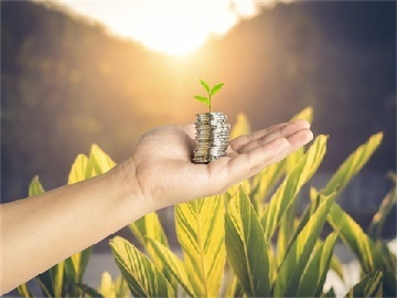 青椒困境引关注，国家出手助力解决